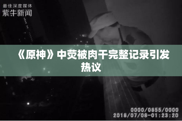 《原神》中荧被肉干完整记录引发热议