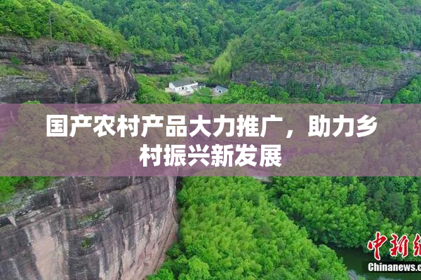 国产农村产品大力推广，助力乡村振兴新发展