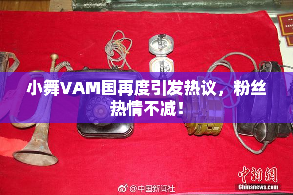 小舞VAM国再度引发热议，粉丝热情不减！