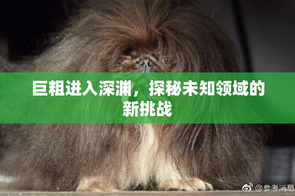 巨粗进入深渊，探秘未知领域的新挑战