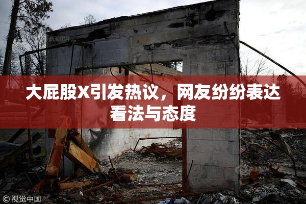 大屁股X引发热议，网友纷纷表达看法与态度