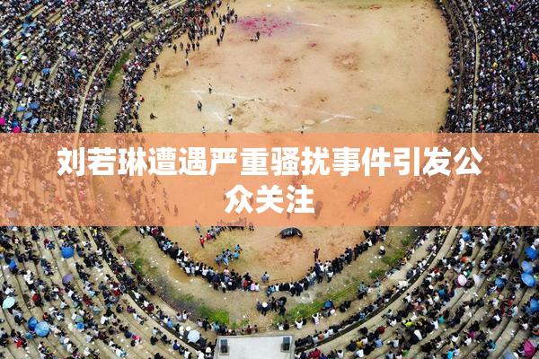 刘若琳遭遇严重骚扰事件引发公众关注