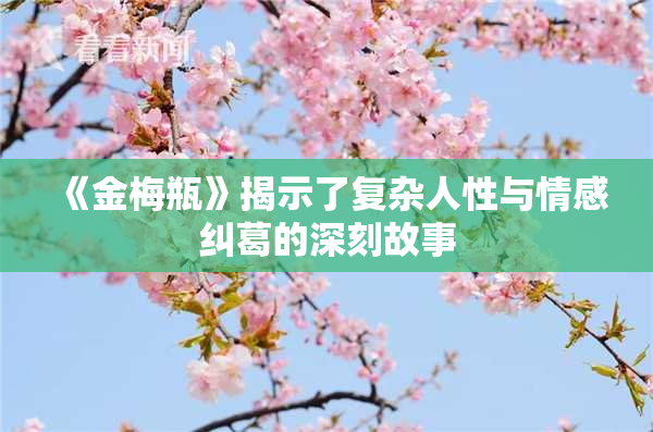 《金梅瓶》揭示了复杂人性与情感纠葛的深刻故事