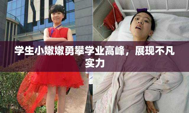 学生小嫩嫩勇攀学业高峰，展现不凡实力