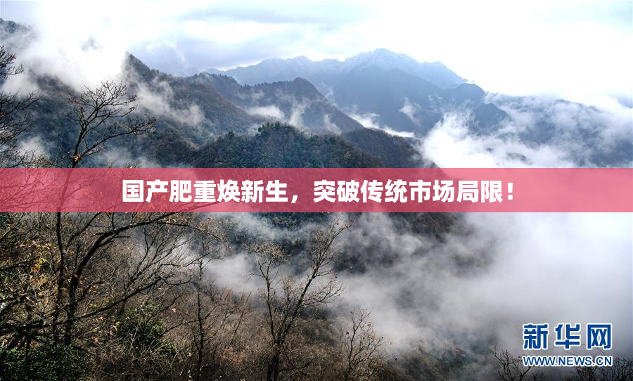 国产肥重焕新生，突破传统市场局限！