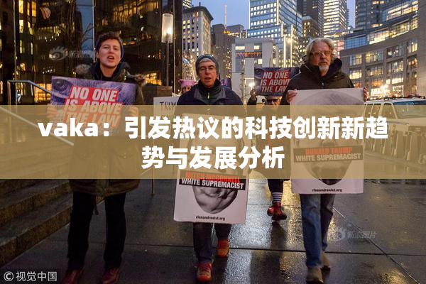vaka：引发热议的科技创新新趋势与发展分析