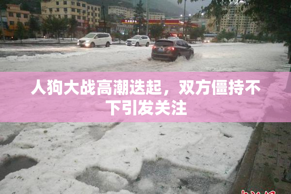 人狗大战高潮迭起，双方僵持不下引发关注