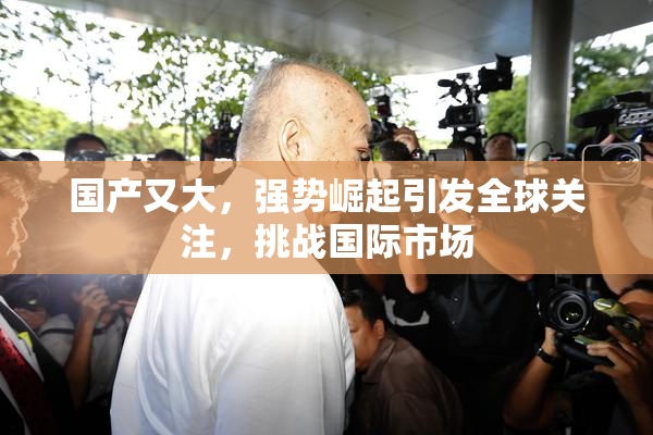 国产又大，强势崛起引发全球关注，挑战国际市场