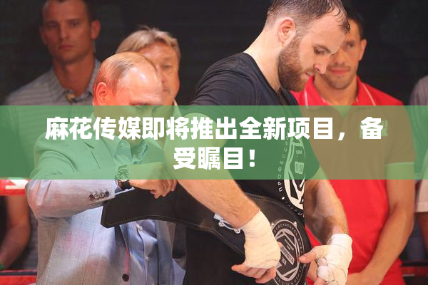 麻花传媒即将推出全新项目，备受瞩目！