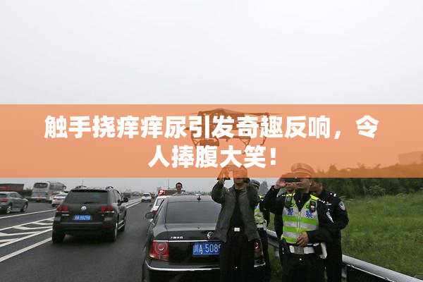 触手挠痒痒尿引发奇趣反响，令人捧腹大笑！
