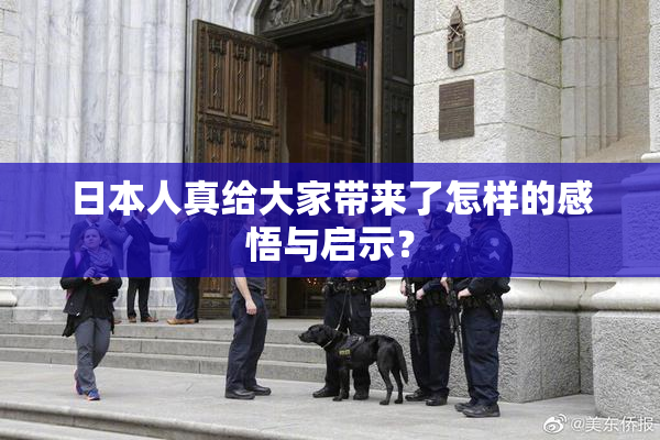 日本人真给大家带来了怎样的感悟与启示？