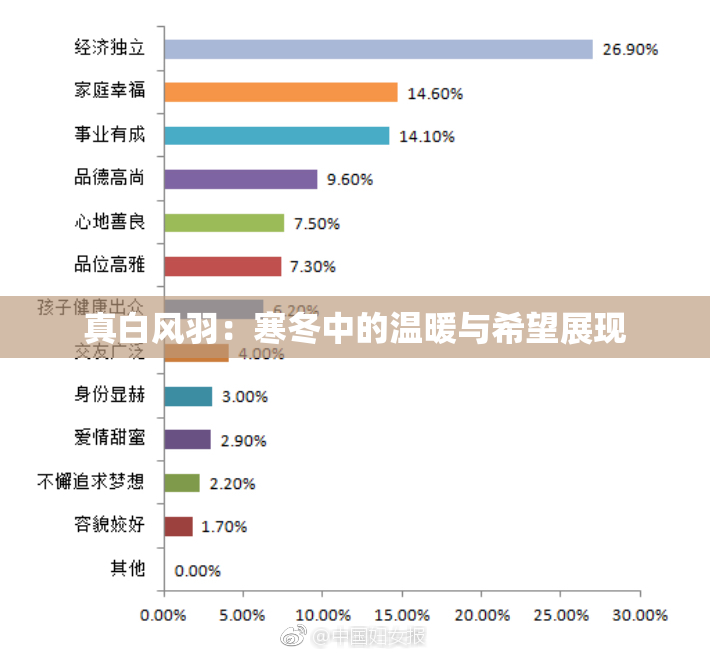 真白风羽：寒冬中的温暖与希望展现