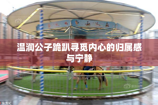 温润公子跪趴寻觅内心的归属感与宁静