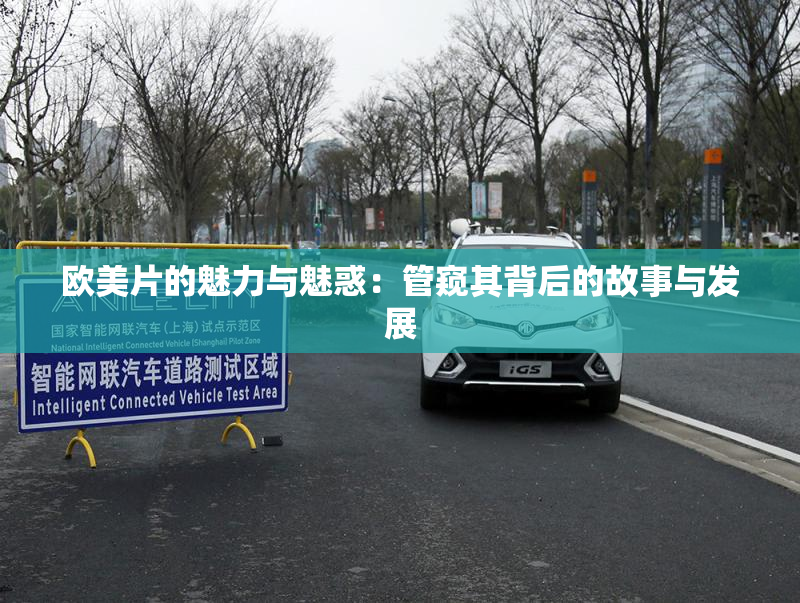 欧美片的魅力与魅惑：管窥其背后的故事与发展