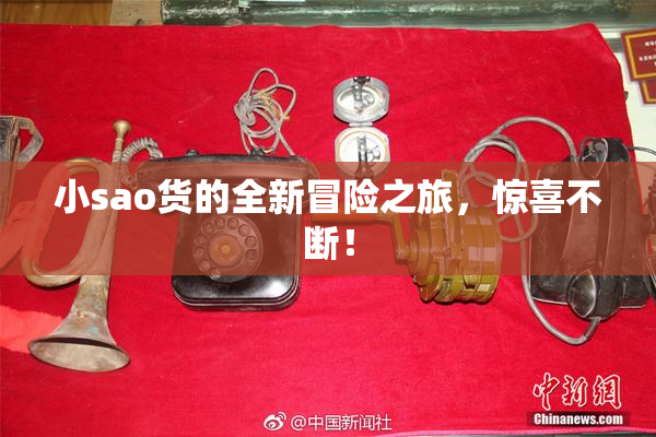 小sao货的全新冒险之旅，惊喜不断！