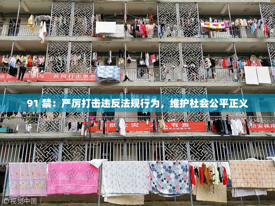 91 禁：严厉打击违反法规行为，维护社会公平正义