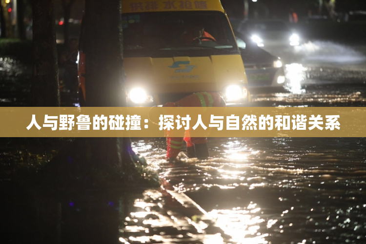 人与野鲁的碰撞：探讨人与自然的和谐关系