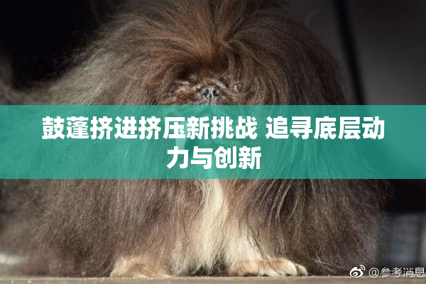 鼓蓬挤进挤压新挑战 追寻底层动力与创新