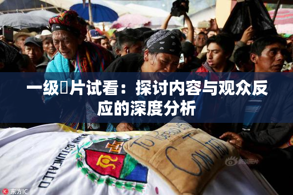 一级婬片试看：探讨内容与观众反应的深度分析