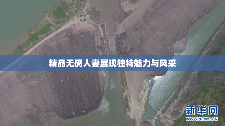 精品无码人妻展现独特魅力与风采