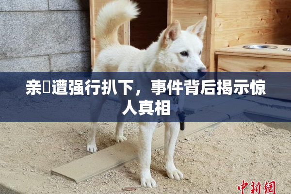 亲妺遭强行扒下，事件背后揭示惊人真相