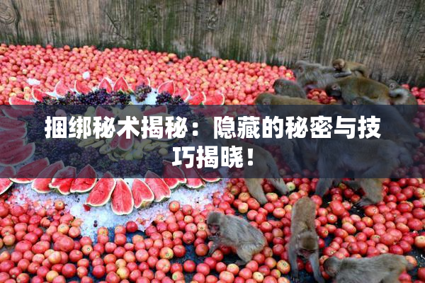 捆绑秘术揭秘：隐藏的秘密与技巧揭晓！