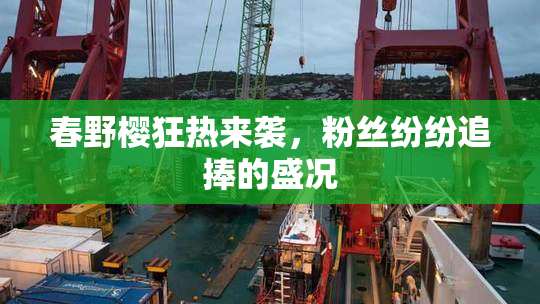 春野樱狂热来袭，粉丝纷纷追捧的盛况
