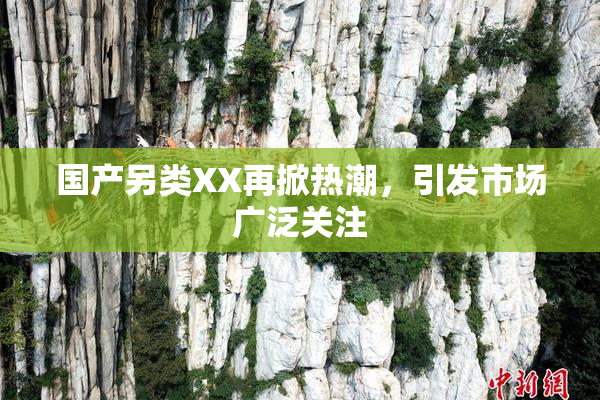国产另类XX再掀热潮，引发市场广泛关注
