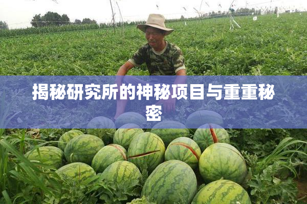 揭秘研究所的神秘项目与重重秘密