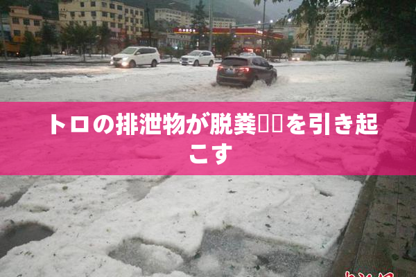 トロの排泄物が脱粪問題を引き起こす