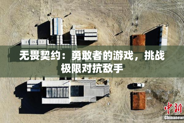 无畏契约：勇敢者的游戏，挑战极限对抗敌手