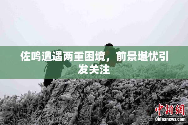 佐鸣遭遇两重困境，前景堪忧引发关注