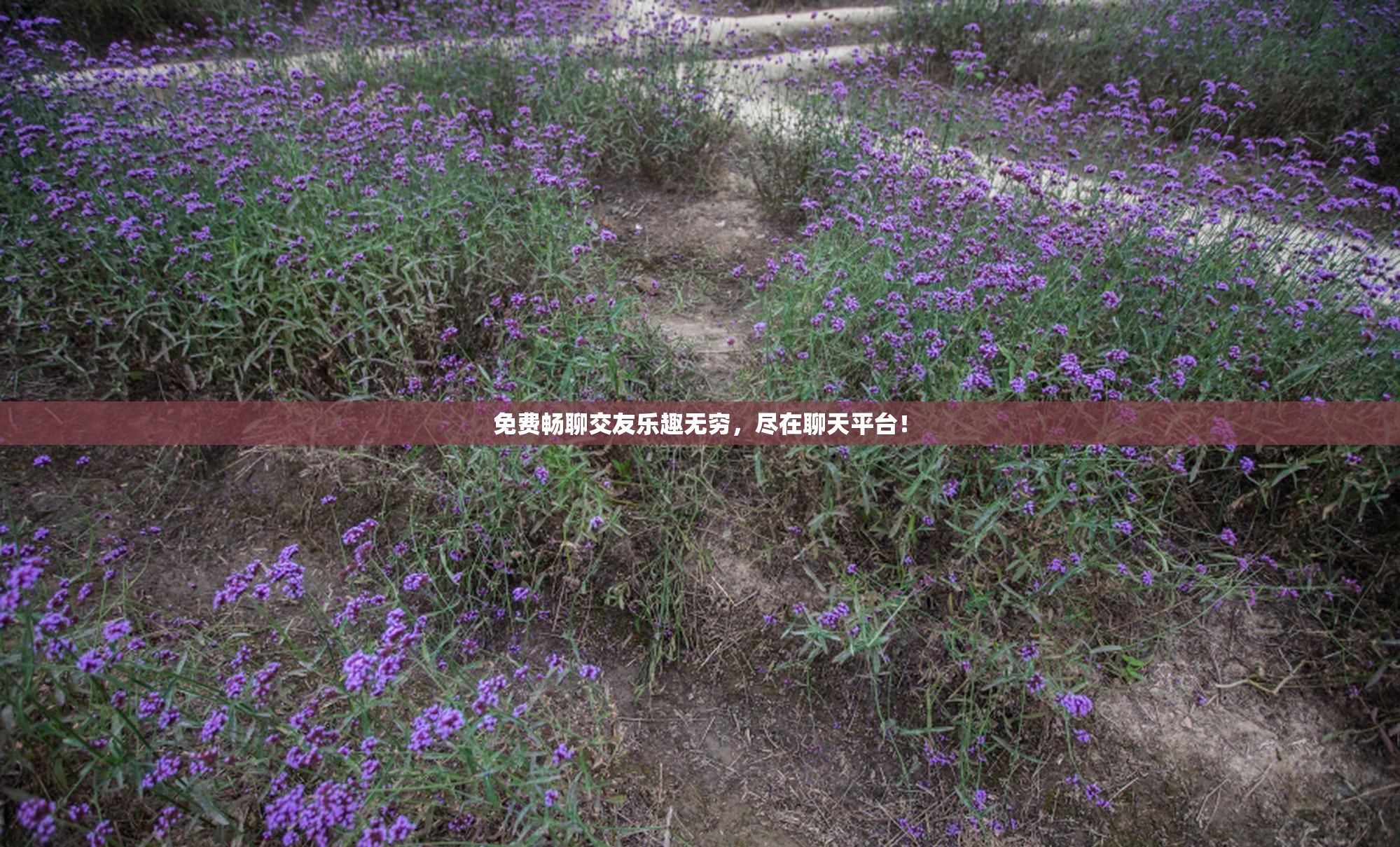 免费畅聊交友乐趣无穷，尽在聊天平台！