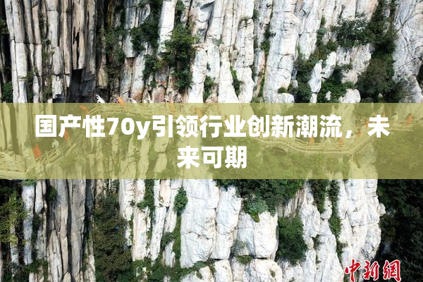 国产性70y引领行业创新潮流，未来可期