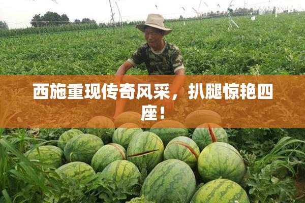 西施重现传奇风采，扒腿惊艳四座！