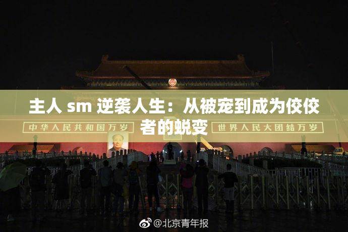 主人 sm 逆袭人生：从被宠到成为佼佼者的蜕变