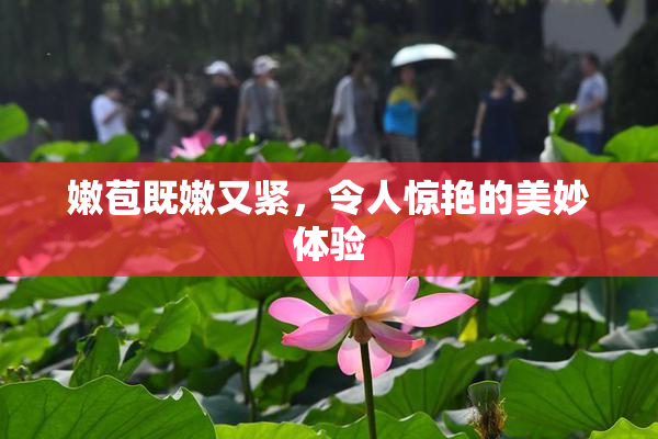嫩苞既嫩又紧，令人惊艳的美妙体验