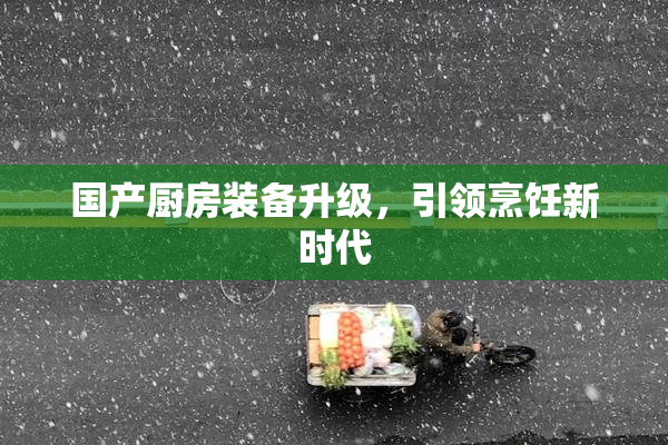 国产厨房装备升级，引领烹饪新时代
