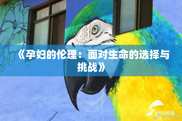 《孕妇的伦理：面对生命的选择与挑战》