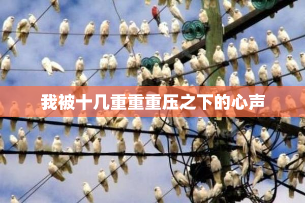 我被十几重重重压之下的心声