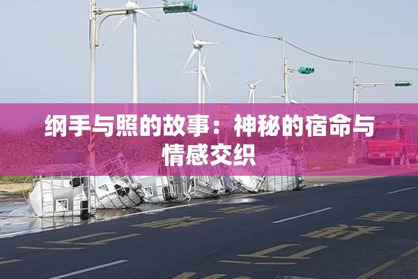 纲手与照的故事：神秘的宿命与情感交织