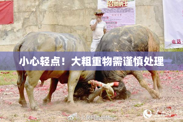 小心轻点！大粗重物需谨慎处理