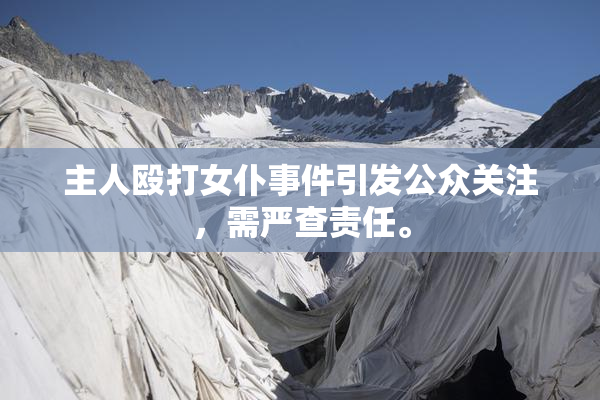 主人殴打女仆事件引发公众关注，需严查责任。