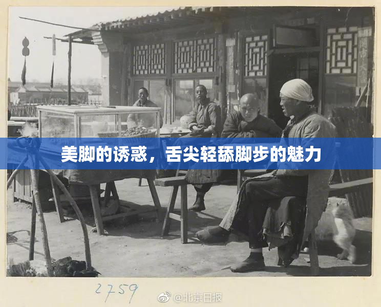 美脚的诱惑，舌尖轻舔脚步的魅力
