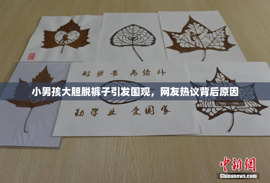 小男孩大胆脱裤子引发围观，网友热议背后原因