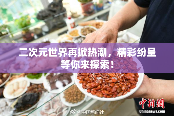二次元世界再掀热潮，精彩纷呈等你来探索！