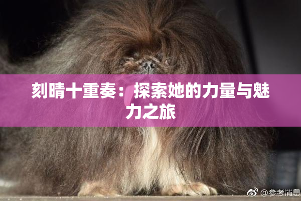 刻晴十重奏：探索她的力量与魅力之旅
