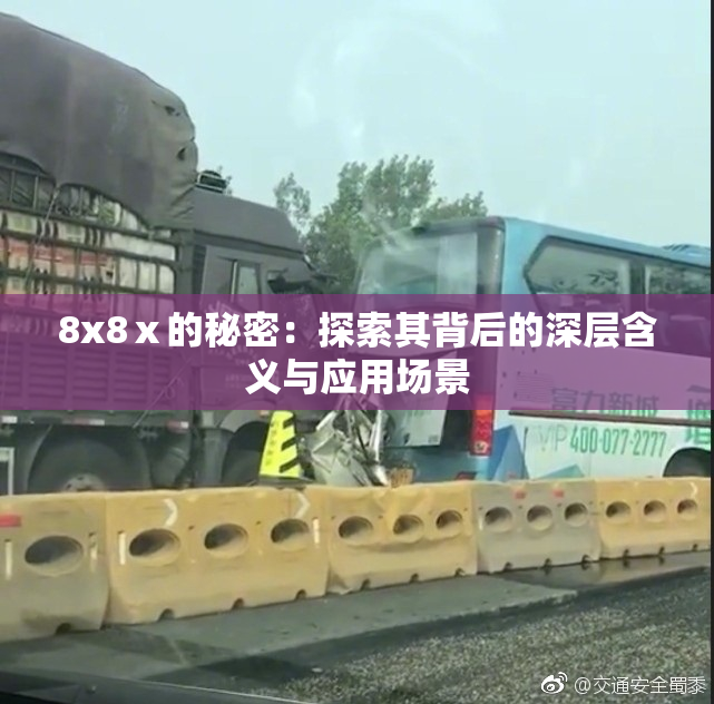 8x8ⅹ的秘密：探索其背后的深层含义与应用场景