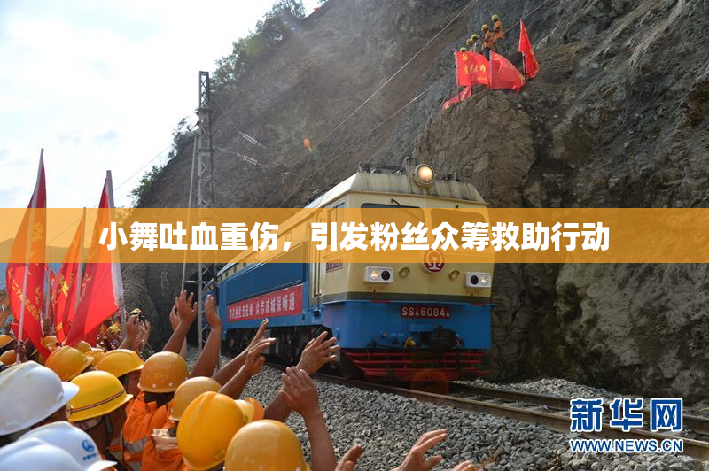 小舞吐血重伤，引发粉丝众筹救助行动