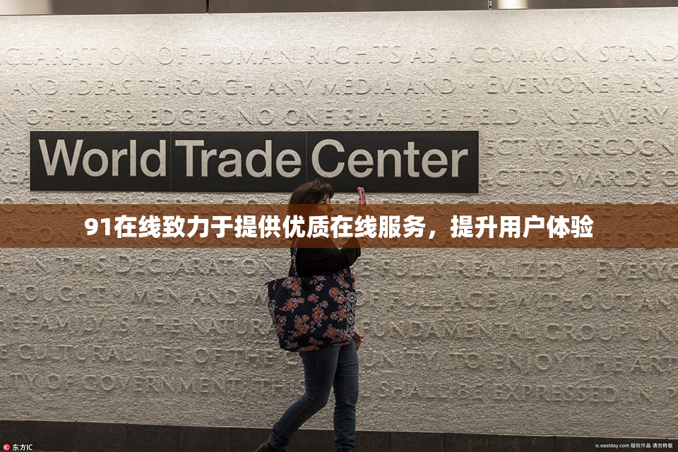91在线致力于提供优质在线服务，提升用户体验